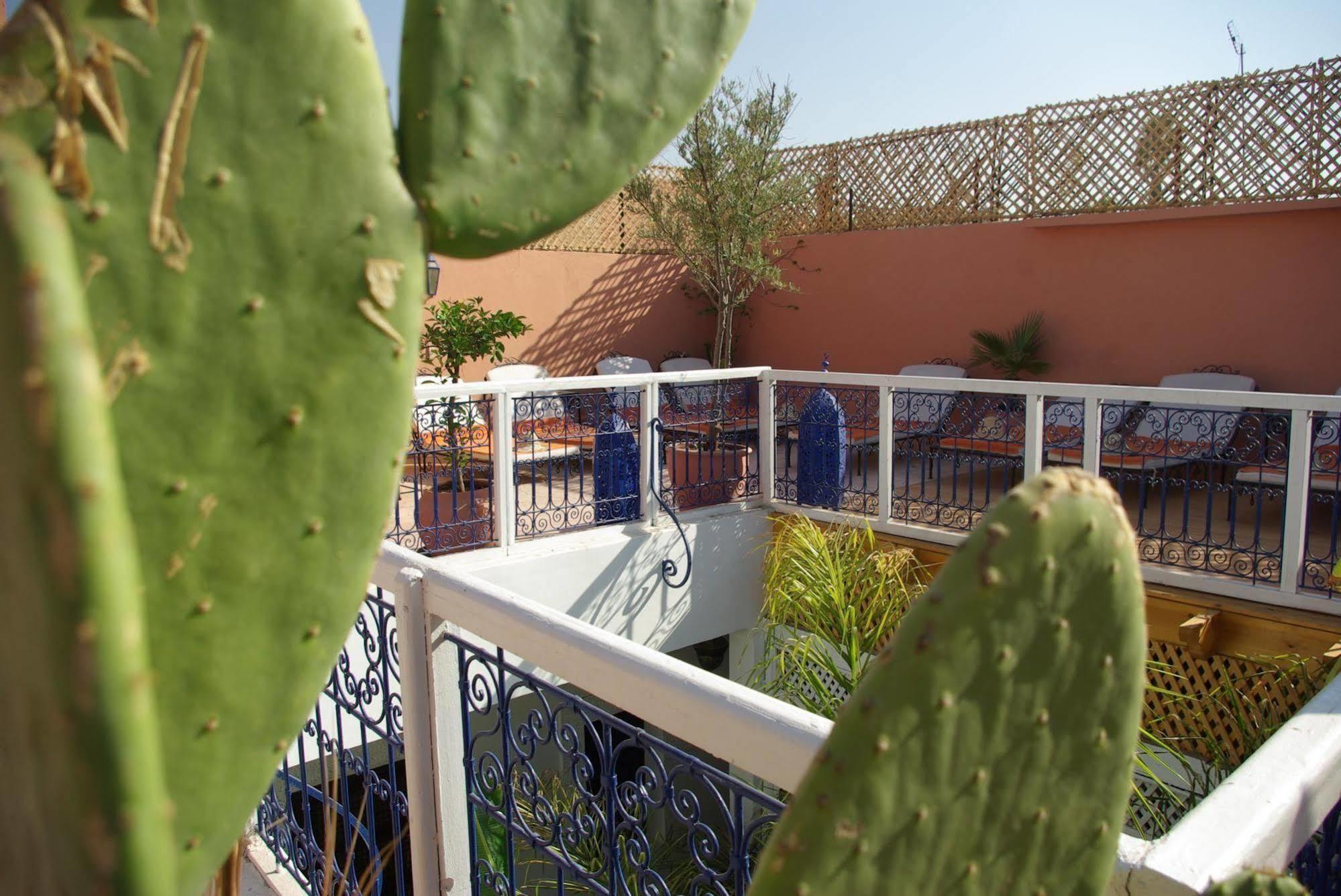 Hotel Abaca Badra 3*